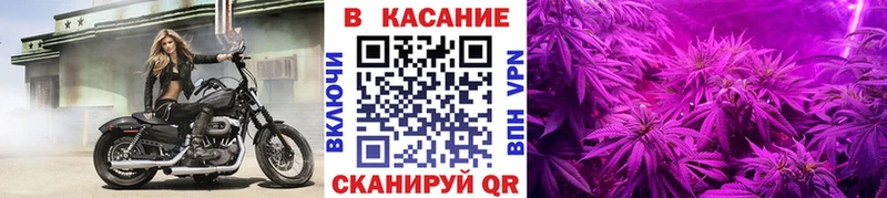 МАРИХУАНА Электрогорск