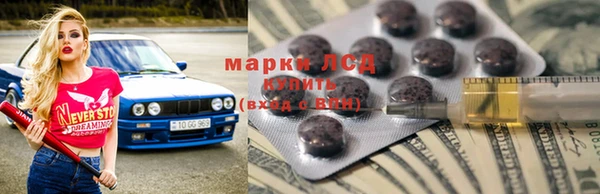 бошки Бородино