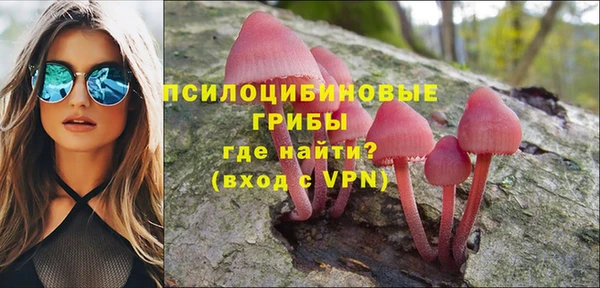 молекула духа Верхний Тагил