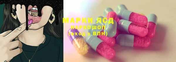 бошки Бородино