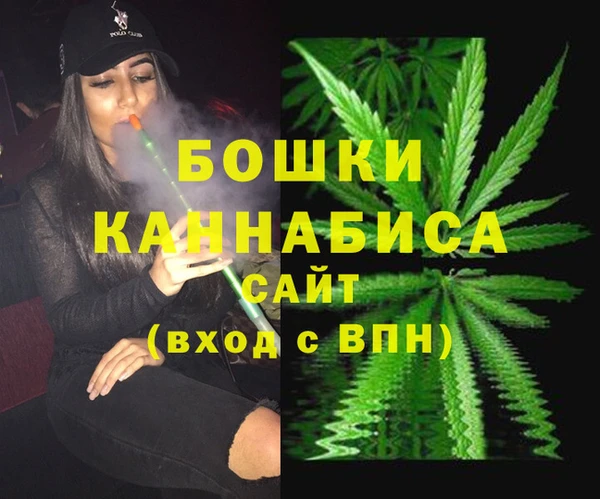 бошки Бородино