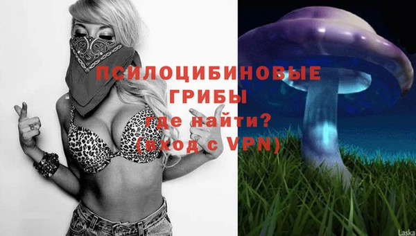 бошки Бородино
