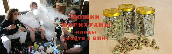 бошки Бородино