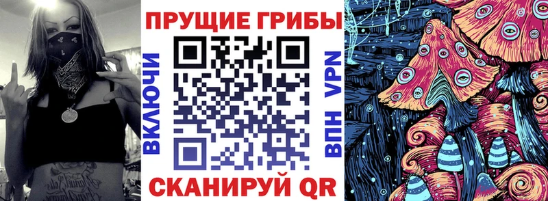 цена   Электрогорск  Галлюциногенные грибы Magic Shrooms 