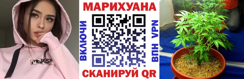 Конопля VHQ  купить наркоту  Электрогорск 
